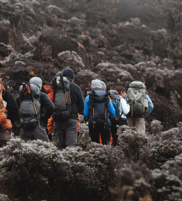Barranco wall Kilimanjaro Climbing