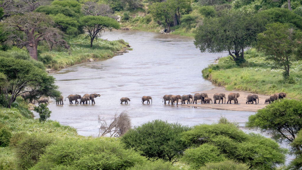 Tarangire National Park