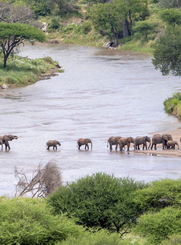 Tarangire National Park