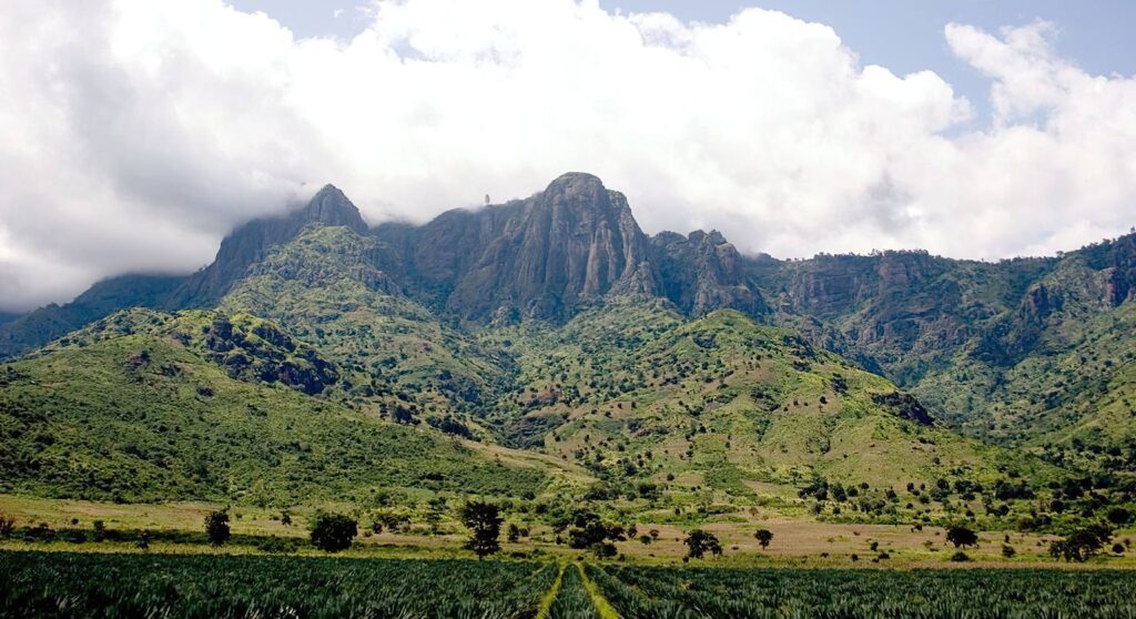 Usambara_Mountains
