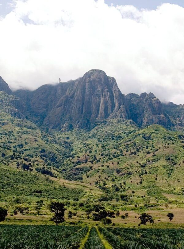 Usambara_Mountains